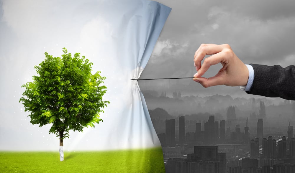 Environmental Policy